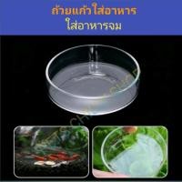 ราคา ถาดใส่อาหารกุ้ง ปลา Glass feeder (20272057916)