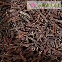 ราคา ผลดีปลี คัดเกรด 50 กรัม, 100 กรัม (9931251536)