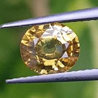 ราคา พลอย บุษราคัม yellow sapphire 1.42 กะรัต (Cts.) ดิบ ไม่ผ่านการเผา (Unheated) พลอยแท้ (18012085653)