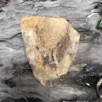 ราคา ผานไถโบราณ สบไถ ใบผาลมือสอง สบไถนา ผาลไถมือสอง ไถนาโบราณ วัตถุอาถรรพ์ เครื่องรางของขลัง ผาลเก่า สบไถเก่า ของเก่า ของสะสม (16362007939)