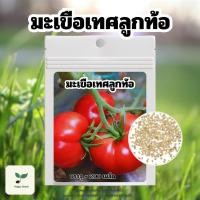 ราคา เมล็ดพันธุ์ มะเขือเทศลูกท้อ เนื้อเยอะบรรจุ 200 เมล็ด เมล็ดพันธุ์ผัก เมล็ดพันธุ์พืช ปลูกผักสวนครัว ปลูกผักกินเอง (29718835650)
