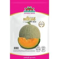 ราคา เมล็ดพันธุ์ เมล่อนลูกผสม เลดี้โกลด์ ซองพรีเมี่ยม 80 เมล็ด ตราตะวันต้นกล้า (29270249221)