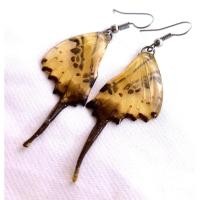 ราคา ต่างหูผู้หญิง ต่างหูผีเสื้อ สีอำพัน butterfly earrings (40911034429)