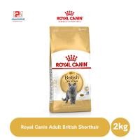 ราคา Royal Canin Adult British Shorthair ขนาด 2 KG. (5887415440)