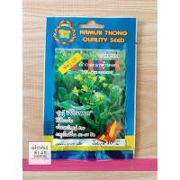 ราคา เมล็ดพันธุ์ เมล็ดผักกาดกวางตุ้งดอก พันธุ์เขียวหยก บรรจุ 4670 เมล็ด (4040032197)