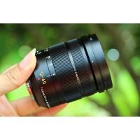 ราคา Panasonic Leica DG Vario-Elmarit 12-60 F2.8-4 ASPH ที่สุดของแจ้ (2591717012)