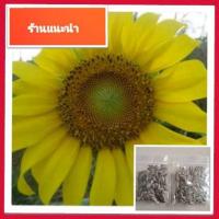 ราคา 200เมล็ด เมล็ดดอกทานตะวันดอกเหลือง (เมล็ดลายคัด )ดอกทานตะวัน เมล็ดพันธุ์ดอกทานตะวันแบบปลูก (4832795610)
