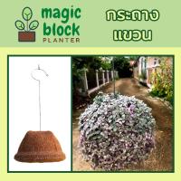 ราคา Magicblock ก้อนเพาะปลูกมหัศจรรย์แบบแขวน (4233466079)