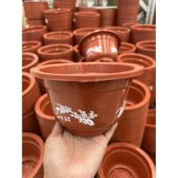 ราคา กระถางปลูกต้นไม้ 5ใบ 10ใบ เกรดA สีน้ำตาลดินเผา ขนาด8นิ้ว (21691824190)