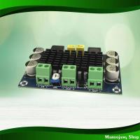 ราคา บอร์ดขยายเสียง 100 วัตต์ โมโน Audio Amplifier Board 100W Mono (42306657125)