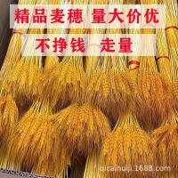 ราคา หูข้าวสาลีธรรมชาติสีทองช่อดอกไม้แห้งสำหรับเปิดข้าวบาร์เลย์โรงงานขายตรงหูข้าวสาลีขายส่งหูข้าวสาลีดอก (26013749438)