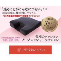 ราคา เบาะรองนั่งเพื่อสุขภาพ เบาะยางพารา เบาะรองนั่ง เบาะนั่ง (3620317277)