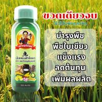 ราคา ปุ๋ยแพนต้าโกรว์ พ่อใหญ่สัมฤทธิ์ 1 ขวด ใช้ได้กับพืชทุกชนิด (29272846527)