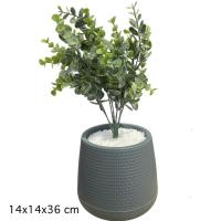 ราคา ชุดต้นไม้ประดับ เรียบหรูดูดี ไม่มากไม่น้อยเกินไป ได้ยกชุดต้นไม้และกระถาง (27689486855)