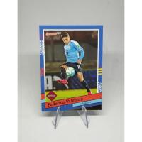 ราคา การ์ดนักฟุตบอล Panini Donruss South America Soccer Road to Qatar Cards 2021-22 (23741779166)