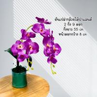 ราคา ต้นกล้วยไม้ฟาแลนด์ ประดิษฐ์ พร้อมส่ง 2 ก้าน 9 ดอก ประดับใบ พร้อมส่ง (24509750010)