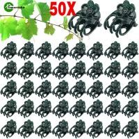 ราคา 50ชิ้นกล้วยไม้พืชสวนรูปแก้ไขคลิป-กระถางต้นไม้การเจริญเติบโตกิ่งไม้ตรงที่หนีบ-พืชสีเขียวเถาจับคลิป-ห้ากรงเล็บดอกไม้สาขาสนับสนุนผู้ถือ-สวนเครื่องมือ (24090355043)