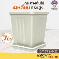 ราคา กระถางสี่เหลี่ยม 7 นิ้ว พร้อมจานรอง ║ สี่เหลี่ยมทรงสูง กระถางต้นไม้ สีขาว กระถางสี่เหลียมทรงสูง กระถาง (8738285476)
