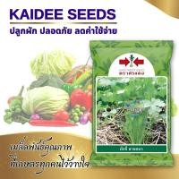 ราคา เมล็ดผักชี สายสมร ตราศรแดง coriander seeds เมล็ดพันธุ์ผักชี เมล็ดพันธุ์ผัก เมล็ดผักสวนครัว ศรแดง (27062869070)
