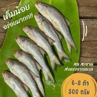 ราคา ปลากุเลาแดดเดียว เค็มน้อย ใช้ปลาสดไม่แช่น้ำยา ไซส์ 6-8 ตัว 500 กรัม (43224519925)