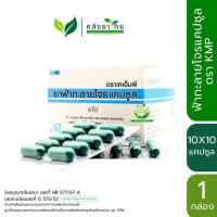 ราคา ฟ้าทะลายโจรแคปซูล ตรา KMP แก้วมังกรเภสัช 10X10 แคปซูล/กล่อง (26911046281)