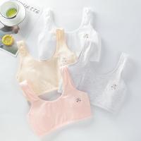 ราคา ชุดชั้นในเสื้อกั๊กนักเรียน สไตล์สำหรับผู้หญิง (44176900093)