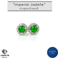 ราคา 2AC-44.LCZ-JA.IM ต่างหูหยกจักรพรรดิ์ ล้อมเพชร ต่างหูเงินแท้100% หยกพม่า หยกแท้100% ต่างหูมินิมอล หยกเนื้อแก้ว Imperial (20686687458)