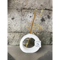 ราคา แจกันวงกลม/แจกันกลม/แจกันดอกไม้แห้ง/แจกันกลมสุนทรียศาสตร์/แจกันดอกไม้สุนทรียศาสตร์/แจกันดอกไม้สุนทรียศาสตร์กระถางดอกไม้คอนกรีต (19359266771)