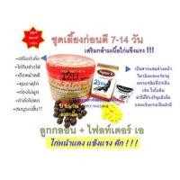 ราคา ชุดเลี้ยงก่อนตีสายแข็ง ชุดเลี้ยงก่อนตี เสริมกล้ามเนื้อไก่แข็งแรง ชุดบำรุงไก่ก่อนตี 7-14 วัน ไก่ชนตีชนะ #ไก่ชน #เสริมกล้า (21500255478)