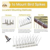 ราคา BEF สแตนเลส Pigeon Spikes Bird Repeller Deterrent Traps Anti-bird Repellent Pest Control สวนระเบียง Thorn เล็บชุด TH (43976759517)