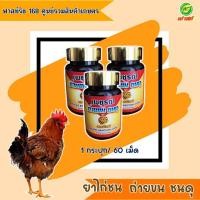 ราคา ยาบำรุขนไก่ชน เร่งขนและรักษาขน สตองโกลด์ เพชรดำถ่ายขนชนดุ3กระปุก สำหรับไก่ชน ไก่ไทย ไก่พม่า ไซง่อน (20592329729)