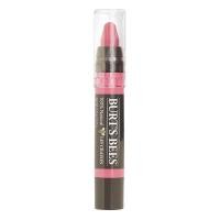 ราคา Burt's Bees Matte Lip Crayon-Niagara Overlook ลิปสติกเนื้อแมท ลิปสี (9761473978)