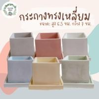 ราคา กระถางแคคตัส กระถางปูนทรงเหลี่ยม พร้อมถาด สูง 6.5 cm กว้าง 7 cm กระถางกระบองเพชร กระถางปูน (18416731626)