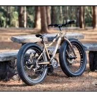 ราคา จักรยานล้อโต panther (42376306368)