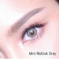 ราคา คอนแทคเลนส์Mini Nobluk Gray (Dreamcolor) ขนาดมินิ (6482513665)