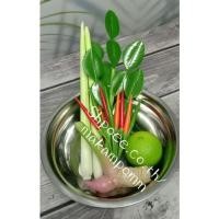 ราคา โมเดลผักปลอม ชุดเครื่องต้มยำ (4096696907)