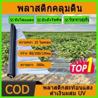ราคา พลาสติกคลุมดิน 1.0ม.x400หลา(360ม) พลาสติกคลุมแปลง ผ้ายางคลุมดิน ผ้ายางคลุมวัชพืช กันวัชพืช ปลูกผัก (27043699589)