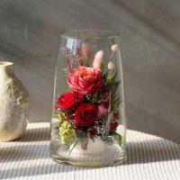 ราคา ของขวัญวาเลนไทน์ กุหลาบสีแดงในโหลแก้ว ดอกไม้จริงอยู่ได้นานกว่า 5 ปี ของขวัญวาเลนไทน์ วันครบรอบ วันเกิด เกษียณอายุ (24160470520)