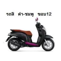 ราคา แท้ศูนย์ ชุดสี Scoopy i ปี 2019 เบิกศูนย์ HONDA เฟรม รถ เปลือกรถ เฟรมscoopy (สติ๊กเกอร์ติดมาจากโรงงาน) (10555424658)