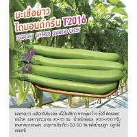 ราคา เมล็ดพันธุ์ มะเขือยาว มะเขือ สีเขียว - Eggplant Diamond Greenตราดอกแตง เมล็ดพันธุ์ เมล็ดผัก คุณภาพ"เพื่อนเกษตรกร" (7438253030)