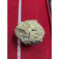 ราคา พระขุนแผนก้อนไม่ตัดลงทอง หลวงปู่ทิมวัดละหารไร่ ผ่านพิธีปลุกเสกแล้วจังหวัดระยอง (40809322373)