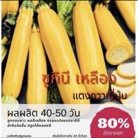ราคา เมล็ดพันธ์ุ ซูกินีเหลือง แตงกวาญี่ปุ่นซูกินีเหลือง ซูกินี (ซื้อ 10 แถม 1 คละอย่างได้) (9787284748)