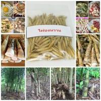 ราคา ขายถูก 100 เมล็ด เมล็ดพันธุ์ไผ่บงหวาน Bambusa Sp ไผ่ตงหวาน พืชเศรษฐกิจใหม่ หญ้ายักษ์ ต้นไผ่ หน่อไม้ เครื่องจักรสาน (5706469838)