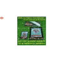 ราคา โซ่ สเตอร์ ชุดโซ่สเตอร์ 428 พระอิตย์ JOMTHAI สเตอร์หน้า 13,14,15 สเตอร์หลัง 32,34,35,36,38,40,42,45 สำหรั WAVE100S DREAM (41562910919)