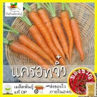 ราคา เมล็ดพันธุ์ แครอทจิ๋ว แครอทเบบี้ 2000 เมล็ด Little Fingers Carrot Seed เมล็ดพันธุ์แท้นำเข้าจากต่างประเทศ ปลูกผัก สวนครัว (20429165049)