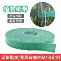 ราคา ขายส่งที่มีสีสันไนลอนทั้งหมด ตีนตุ๊กแก หัวเข็มขัด ตีนตุ๊กแก เทปซัพพลายพืช ตีนตุ๊กแก เทปสายรัดเด็ก-แม่ ตีนตุ๊กแก เทป อา5โอ (50300846473)