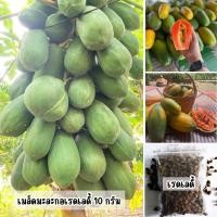 ราคา เมล็ดพันธุ์มะละกอเรดเลดี้ ขนาด 10 กรัม มี 400-500 เมล็ด (24488019336)