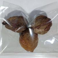 ราคา เมล็ดพันธุ์ เมล็ดจิกสวน ลูกจิกสวน ต้นจิก คละไซด์ (23071176770)