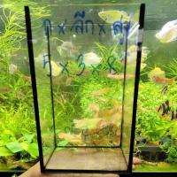 ราคา โหลปลากัด ขนาด กว้าง 5 นิ้ว * ลึก 3 นิ้ว * สูง 8 นิ้ว หนา 3 มิล (20311147664)