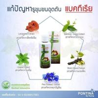 ราคา แชมพูสมุนไพร พรทิน่า (1517387597)